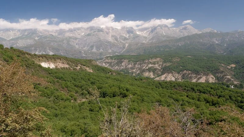 Arslanbob Walnut Forest
