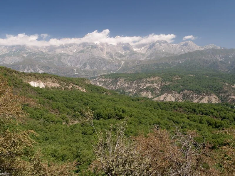 Arslanbob Walnut Forest